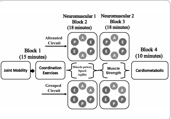 Figure 2 - Methodological organization of alternated circuit (CTA) and grouped (CTG) protocols in the  neuromuscular 2 block