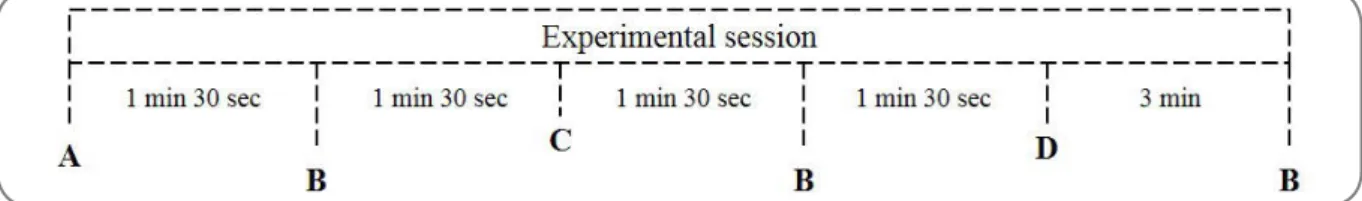 Figure 1 - Experimental session design. A: Warm-up. B: Power and strength of lower limb assessments