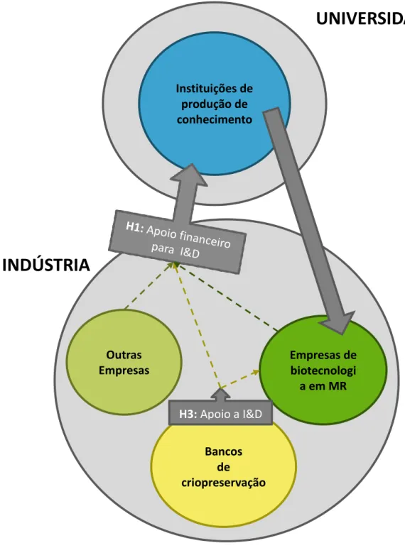 Figura 1. Modelo hipotético para as dinâmicas de desenvolvimento de I&amp;D em Medicina Regenerativa, de  acordo com as ligações entre universidade e indústria, em Portugal