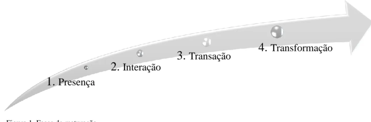Figura 1. Fases de maturação   Fonte: Adaptado de Chiolas (2008) 