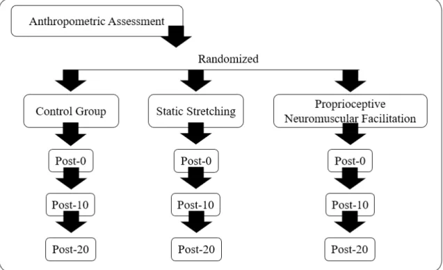 Figure 1 - Randomization process.
