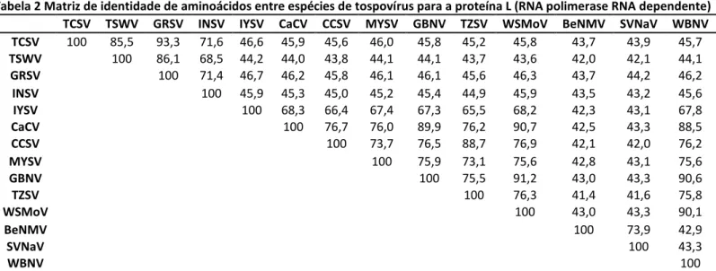 Tabela 2 Matriz de identidade de aminoácidos entre espécies de tospovírus para a proteína L (RNA polimerase RNA dependente)  TCSV  TSWV  GRSV  INSV  IYSV  CaCV  CCSV  MYSV  GBNV  TZSV  WSMoV  BeNMV  SVNaV  WBNV  TCSV  100  85,5  93,3  71,6  46,6  45,9  45,