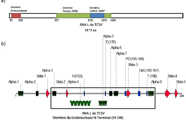 Figura  5.  Busca  de  domínios  e  predição  da  estrutura  secundária  da  proteína  L  de  Tomato  chlorotic  spot  virus  (TCSV)  por  análise  in  silico