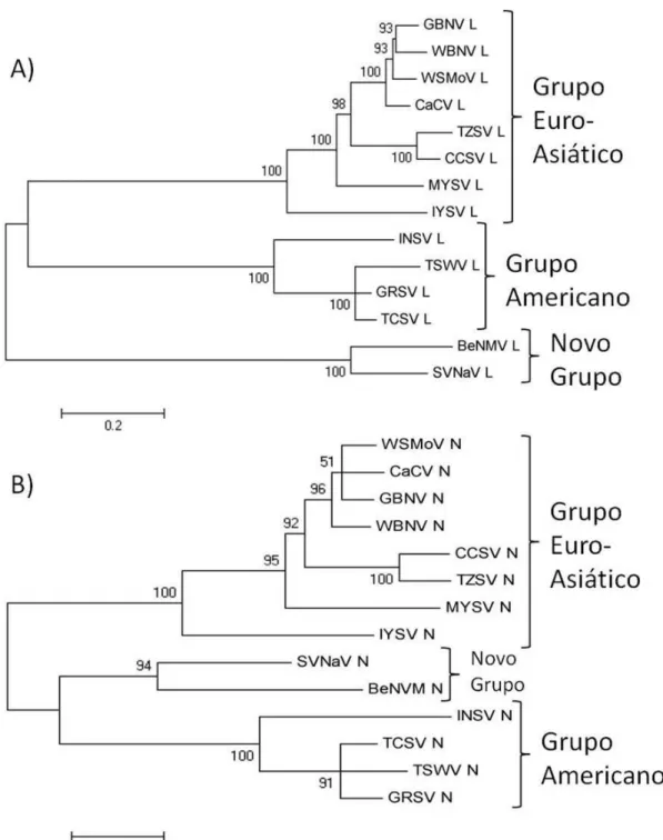 Figura  6.  Análises  filogenéticas  de  tospovírus.  A)  Filogenia  do  gênero  Tospovirus  baseada  na  sequência  de  aminoácidos da proteína L