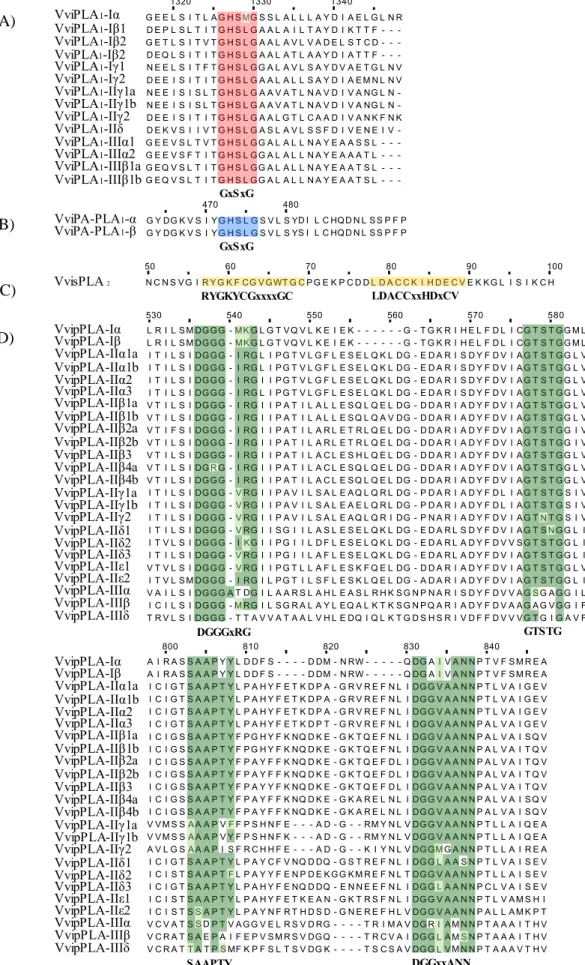 Figure 9 - Multiple alignment of four PLA families representing the consensus and conserved motifs