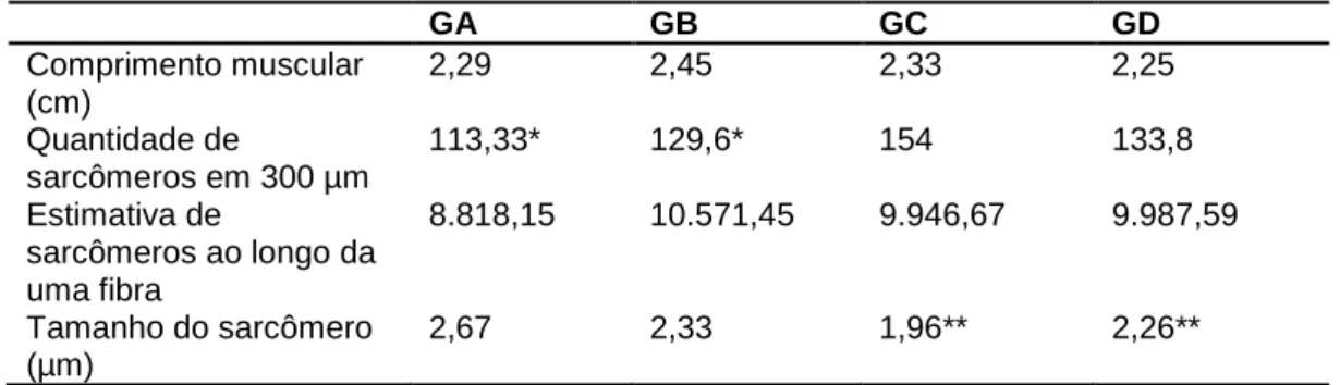 Tabela I - Resultado referente às variáveis analisadas em todos os grupos. GA  GB  GC  GD  Comprimento muscular  (cm)  2,29  2,45  2,33  2,25  Quantidade de  sarcômeros em 300 µm  113,33*  129,6*  154  133,8  Estimativa de  sarcômeros ao longo da  uma fibr