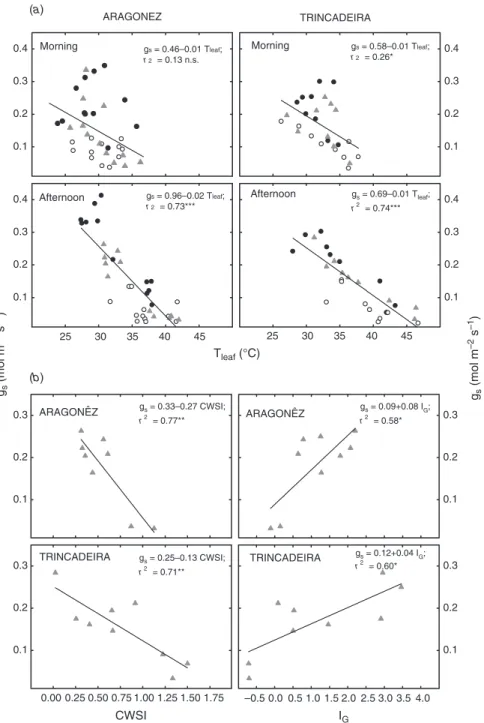 Fig. 3. (a) Relationship between Vitis vinifera leaf temperature assessed by thermal imaging (T leaf ) at morning and early afternoon, and leaf stomatal conductance to water vapour (g s , mol H 2 O m –2 s –1 ), for the varieties Aragonez and Trincadeira, g