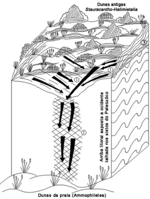 Figura 6 – Esquema de circulação hidrológica que permite a formação das “cascatas” 