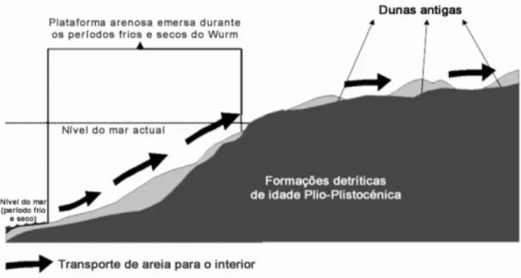 Figura 3 – Esquema teórico de transporte das partículas arenosas para o interior e formação das  dunas antigas a partir das extensas planícies litorais (actual plataforma continental) ricas em  sedimentos, durante os períodos frios e secos do Quaternário