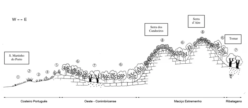 Figura 10 – Clissérie altitudinal Divisório Português, segundo a orientação Oeste-Este, entre o litoral de S