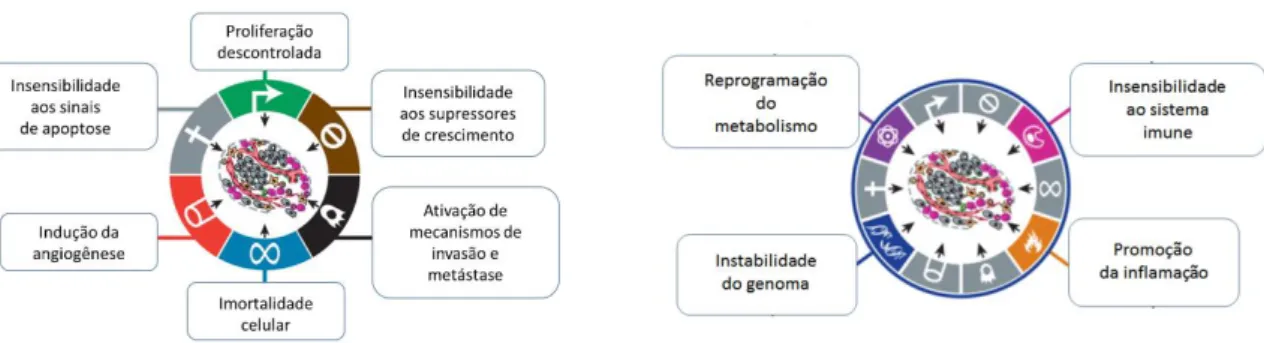 Figura  1.  Representação  esquemática  dos  principais  marcadores  das  células  tumorais  (“Hallmarks of cancer”)