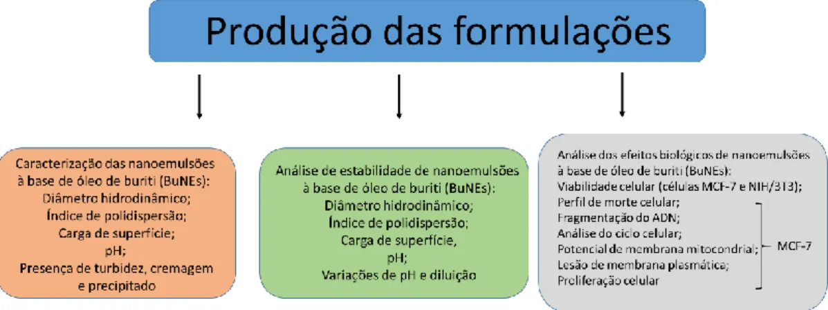 Figura  11.  Representação  dos  ensaios  realizados  para  o  desenvolvimento,  caracterização,  análise de estabilidade e avaliação dos efeitos biológicos de nanoemulsões à base de óleo de  buriti em células de câncer de mama MCF-7 e células saudáveis de