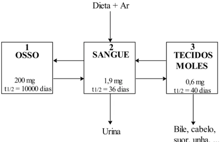 FIGURA 1 Modelo de três compartimentos para o metabolismo do chum- chum-bo. Conteúdo e tempo de meia vida de Pb em cada  reserva-tório (MOREIRA; MOREIRA, 2004).