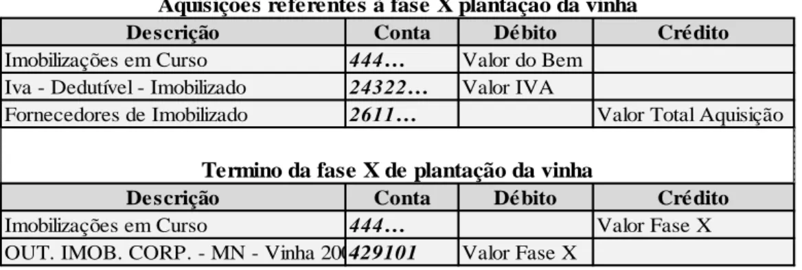 Figura 7.4 - Representação Esquemática do registo contabilístico de Plantação da Vinha 