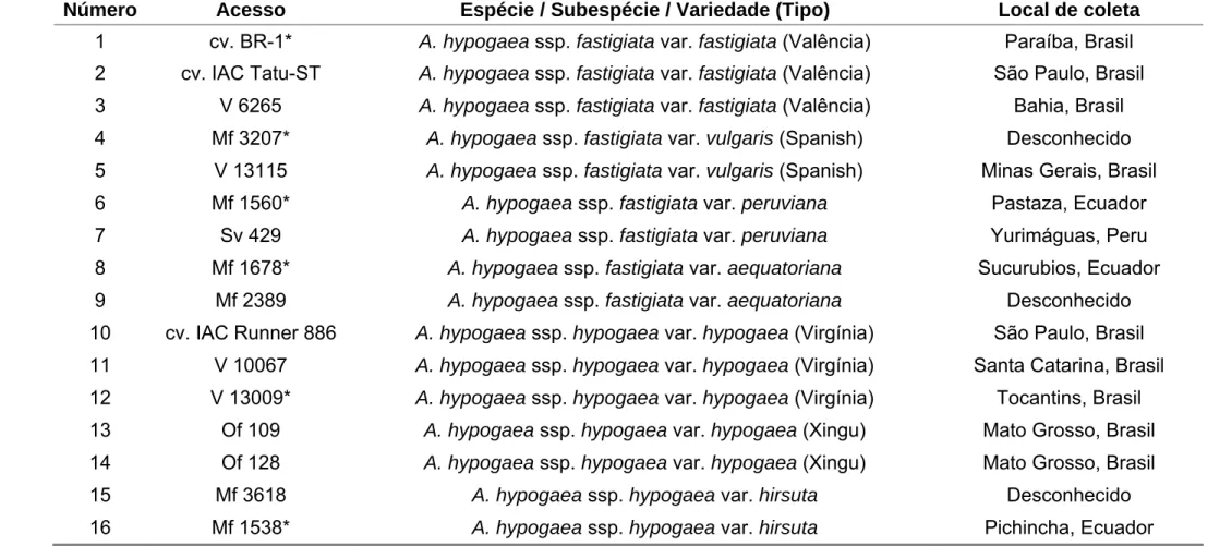Tabela 1 – Acessos de Arachis hypogaea incluídos na caracterização dos novos marcadores microssatélites