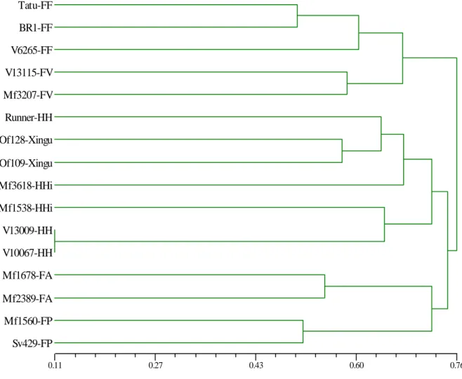 Figura 2 - Dendrograma, obtido pelo método UPGMA, baseado nas distâncias de  alelos comuns (“shared allele distance”), entre 16 acessos de A