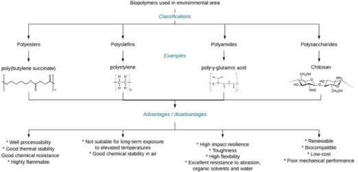 Figure 1. Some classes of polymers applied in environmental area with their examples, advantages, and disadvantages.