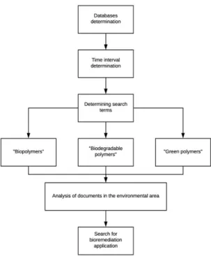 Figure 2. Steps of the foresight methodology from polymers in  general to the bioremediation application.