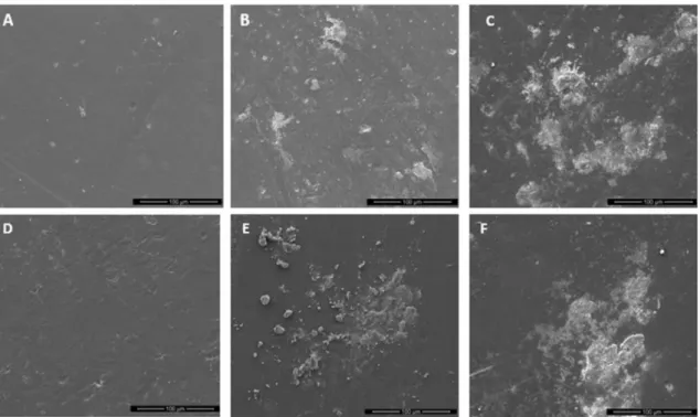 Figure 7. SEM images of the PLA/lignin/carbon black 75/15/10 after (A) 0 day, (B) 90 days and (C) 180 days exposure on garden soil  and PLA/lignin/carbon black 80/10/10 after (D) 0 day, (E) 90 days and (F) 180 days exposure on garden soil.