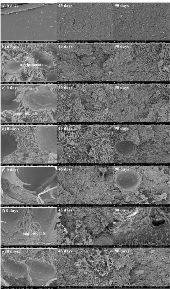Figure 4. SEM micrographs of the GPE and their eco-composites on the fracture surface before (0 days) and after exposure to abiotic  degradation (45 days and 90 days), with 300X magnifications: (a) GPE; (b) GPE/5PC; (c) GPE/10PC; (d) GPE/15PC; (e) GPE/5PC/