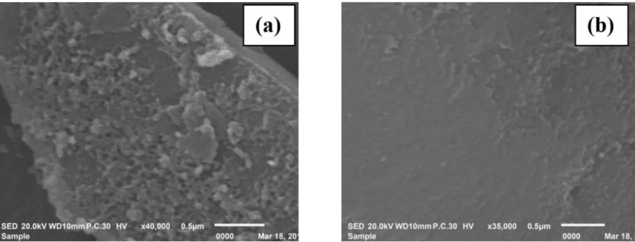 Figure 4 shows the representative SEM images and  the typical surface morphology of PS(BnOH) n : (a) n =2; 