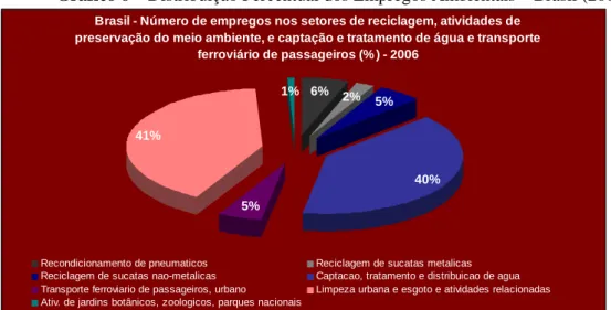Gráfico 6 – Distribuição Percentual dos Empregos Ambientais – Brasil (2006) 