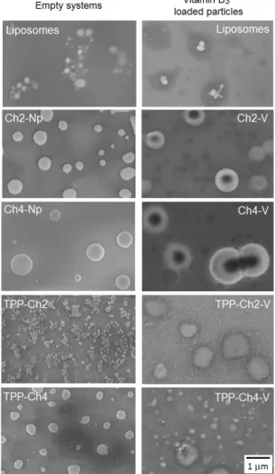 Figure 1 provides the SEM-FEG micrographs of the  empty systems and vitamin D3 loaded particles