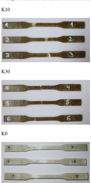 Figure 2. Image of sample scraps after rupture, in accordance with  the numbering provided in Table 1 and Table 3.