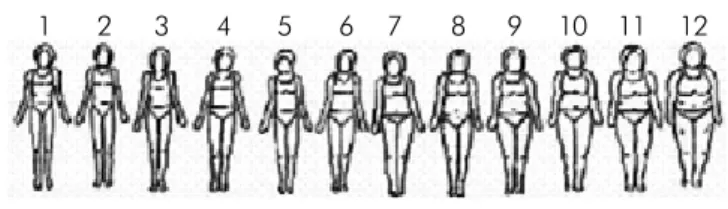 Figura 1 - Imagem para análise da satisfação com a imagem  corporal.