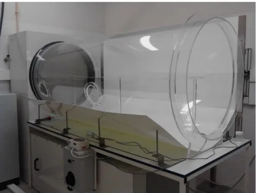 Figure 3. Wind tunnel used in the behavioural bioassays (photo taken by the author). 