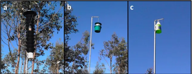 Figure 5. Traps used in the first field bioassay to trap Gonipterus platensis: (a) Lindgren multiple funnel trap, (b)  unitrap and (c) boll weevil trap (photos taken by Luís Mota – RAIZ)