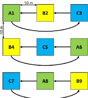 Figura 7. Placement of the traps following a latin square experimental design. A, B and C correspond to different  types of trap