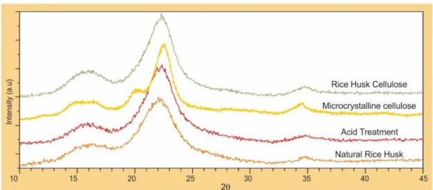 Figure 3. X-ray diffractograms of RH, RH after acid treatment, RHC and MCC.