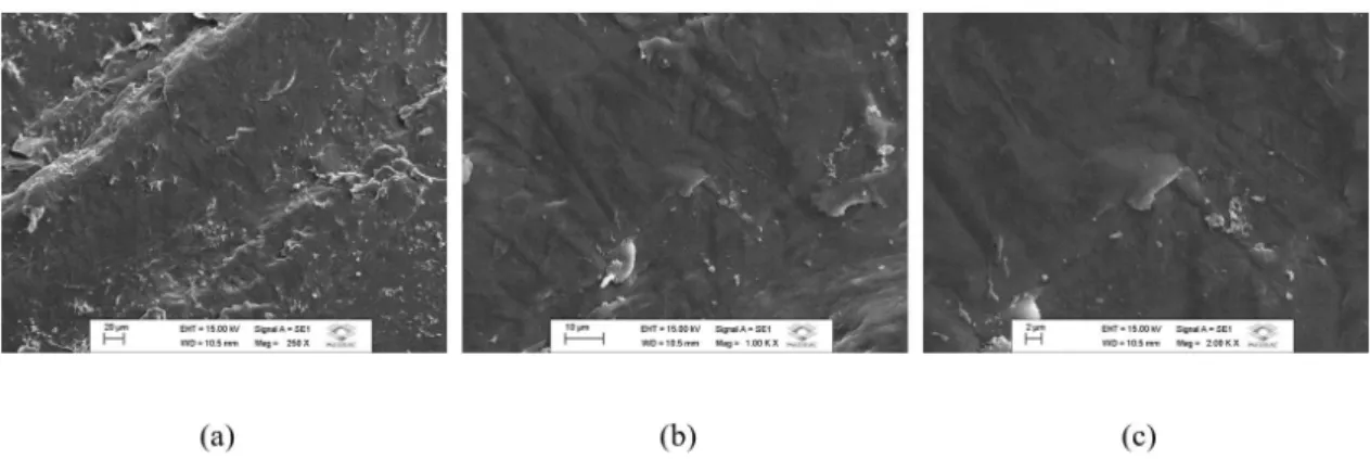 Figure 6 shows the final results of G, which is expressed  in MPa, for all the studied samples with different diameters