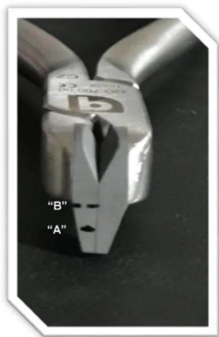 Figure 1. Distal cutting pliers. Demarcation of lines “A” and “B”, referring to T1 (intense use) and  T2 (sterilization + intensive use)