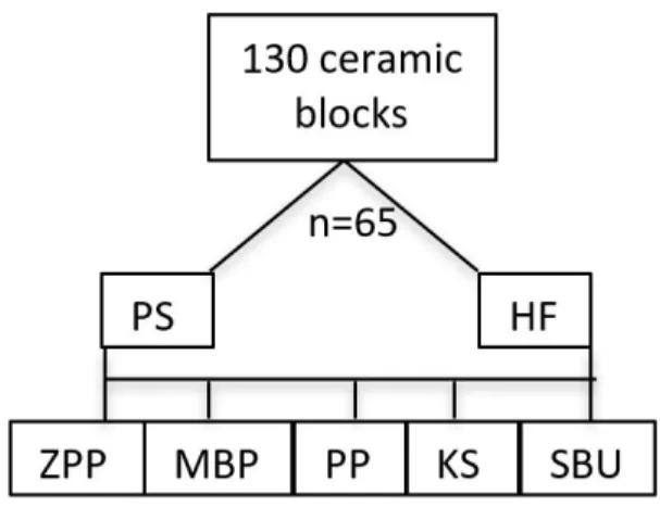 Figure 1. Flowchart of the study. 