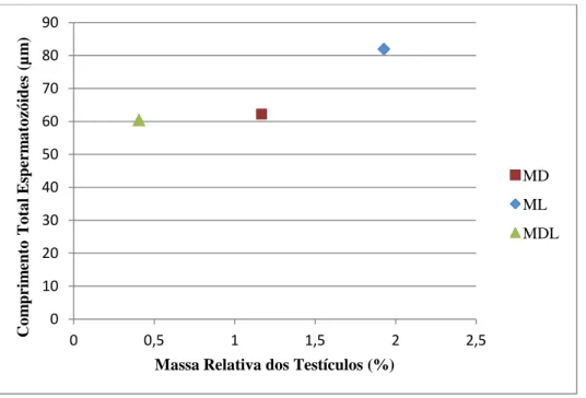 Figura 8. Relação entre a massa relativa dos testículos e o comprimento total dos espermatozóides  de híbridos MDL e das espécies Microtus duodecimcostatus (MD) e M
