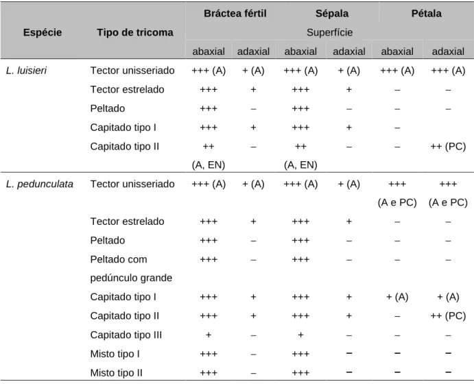Tabela  4.3  –  Distribuição  dos  diferentes  tipos  de  tricomas  nas  superficies  de  brácteas  férteis, sépalas e pétalas de L