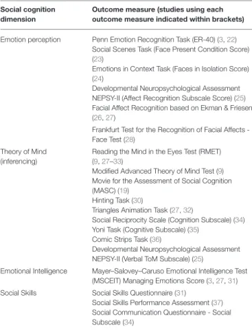 TABLE 1 | Social cognition dimensions and outcome measures evaluated in the meta-analyses.