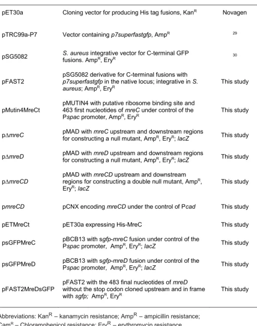 Table 2  –  Strains used in this study. 