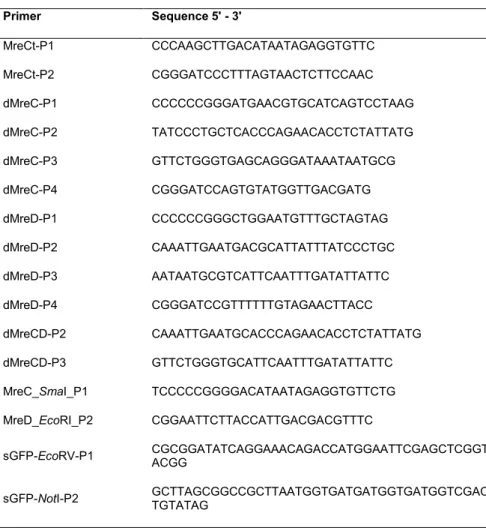 Table 3  –  Primers used in this study. 