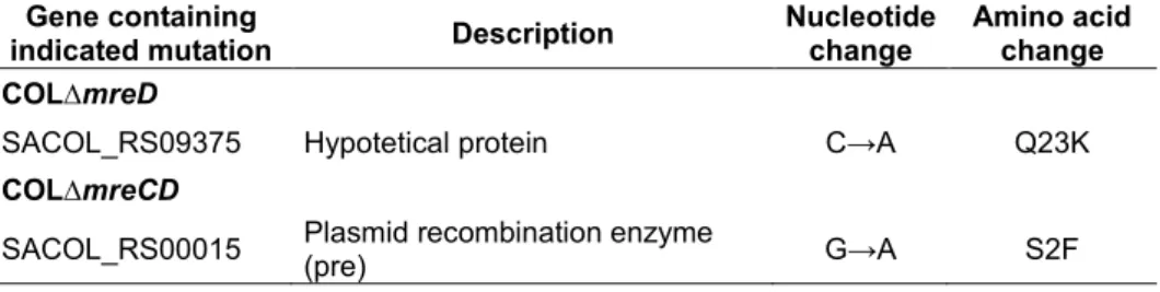 Table 4. Genomic mutations in COL Δ mreD and COL Δ mreCD identified by  whole genome sequencing by comparison with parental strain COL