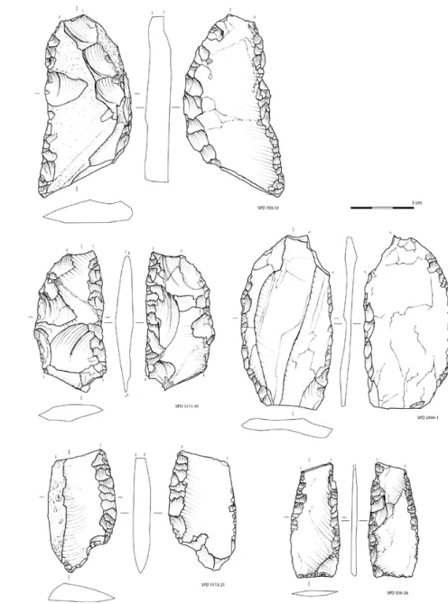 Fig. 6: Foliáceos ovóides do S. Pedro                                                                                                         Fig