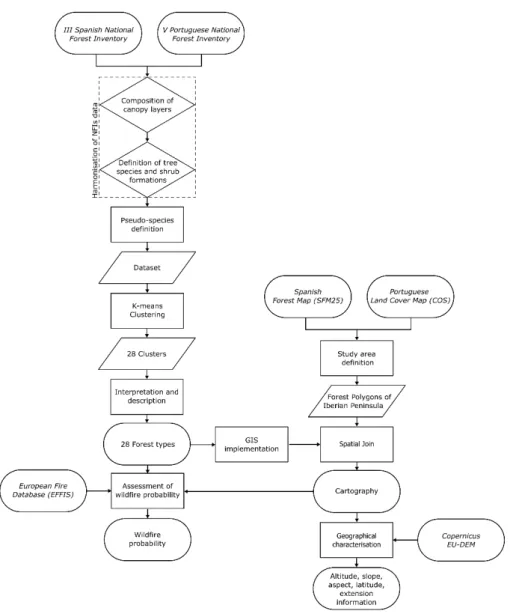 Figure 3. Workflow and data sources for the establishment of forest types in the Iberian Peninsula