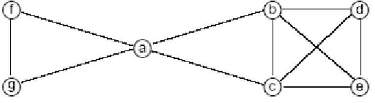 Figure 3. Second example of socio-gram 