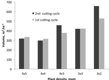 Fig. 2. Volume production per ha for the 2nd and 1st rotations from different  initial planting densities.