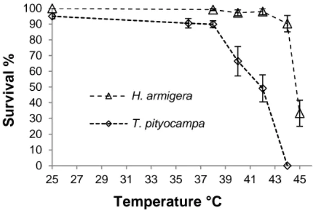 Figure 2.  Larvae survival (mean ± SE) of young larvae  of  T.  pityocampa   and  H.  armigera   at  different   maxi-mum temperatures
