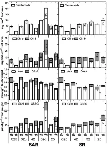 Figure 3. Carotenoid, chlorophyll a and b (Chl a and Chl b), reduced (AsA) and oxidized (DAsA) ascorbate and reduced (GSH) and oxidized (GSSG) glutathione concentration in leaves of Touriga Nacional (TN) and Trincadeira (TR) in stepwise acclimation and rec