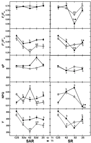 Figure 7. Chlorophyll fluorescence parameters measured in leaves of Touriga Nacional (TN) and Trincadeira (TR) in stepwise acclimation and recovery (SAR) and stepwise recovery (SR)