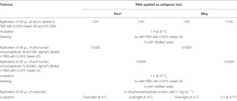 TABLE 1 | ELISA protocols and conditions for detection of IgG and IgM anti-P. jirovecii antibodies reactive against the RSA produced.